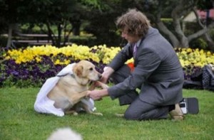 Matrimonio-uomo-cane