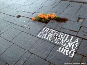 guerrilla_gardening01