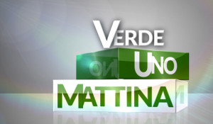 verde_uno_mattina