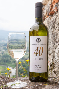 Gavi (AL), consorzio del Gavi. WINE © Cristian Castelnuovo