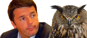 Renzi Gufi