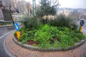 Genova - degrado verde pubblico