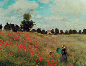 Monet le coquelicots i papaveri home