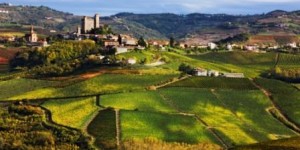 Italy, Piedmont, Langhe, Hills, Vineyards, Autumn