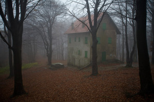 Casa bosco