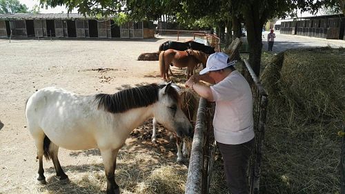 Copia di Visita al maneggio per gli ospiti della residenza "Gigi e Teresio Capra" di Spinetta CorriereAl 7