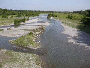 Torrente Scrivia 1