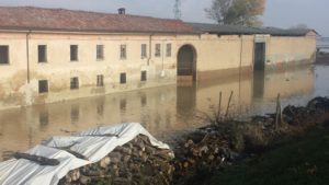 Berutti (FI): "Fondi alluvione: Il Governo scarica Alessandria, e Chiamparino disattende le promesse" CorriereAl