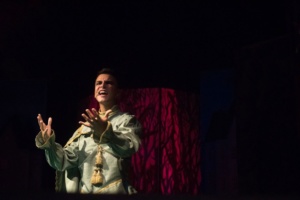 Al Teatro Sociale di Valenza i "Cigni selvatici", musical ispirato alla fiaba di Hans Christian Andersen 7