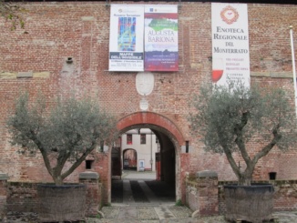 Casale, nuove collocazioni per gli ulivi del Comune: "Abbelliranno scuole e giardini pubblici" CorriereAl