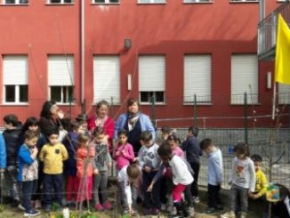 Festa degli alberi Coldiretti: alla primaria Morbelli benvenuto alla primavera nel rispetto dell'ambiente CorriereAl 1