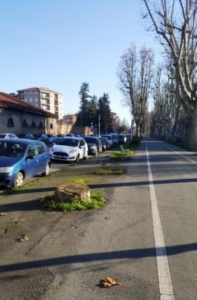 Penna e Bovone sugli “alberi mancanti” nei viali di Alessandria: una “mozione” verde a Palazzo Rosso CorriereAl 1