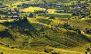 Le colline dei vini [Abbecedario del gusto] CorriereAl 1
