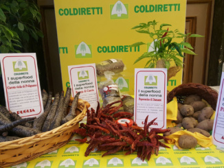 Coldiretti: "I superfood valorizzano il grande patrimonio della biodiversità" CorriereAl