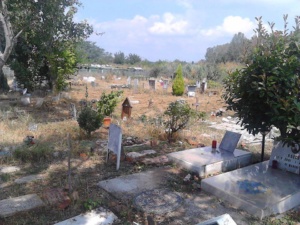 Cimitero degli animali completamente risistemato dai volontari di Radio Bbsi CorriereAl 1
