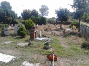 Cimitero degli animali completamente risistemato dai volontari di Radio Bbsi CorriereAl