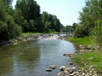 Domenica sera incendio alla Riserva Naturale del Torrente Orba CorriereAl 1