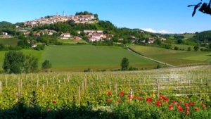 "Grignolino sotto le stelle": a Rosignano la degustazione dei migliori Grignolini doc del Monferrato Casalese CorriereAl