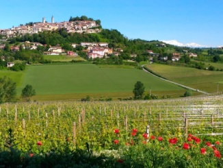 "Grignolino sotto le stelle": a Rosignano la degustazione dei migliori Grignolini doc del Monferrato Casalese CorriereAl