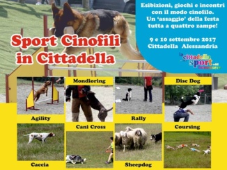 Sport sui generis alla Cittadella di Alessandria CorriereAl