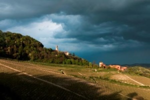 Tenuta La Tenaglia: “I nostri vini raccontano la storia del Monferrato, e della sua cultura: non solo barbera, ma anche grignolino!” CorriereAl 1