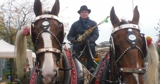 Il cavallo non è un fenomeno da baraccone CorriereAl