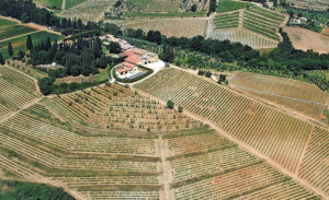 Toscana: vini-simbolo e simboli del vino [Abbecedario del gusto] CorriereAl 2
