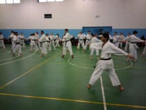 Secondo stage di Karate per le cinture superiori a Novi Ligure CorriereAl