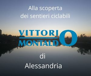 Vittorio Montaldo